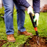 onde tem empresa jardinagem terceirizada City América