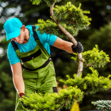 quanto custa serviço de empresa jardinagem terceirizada Jataí