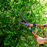 serviço de empresa jardinagem preço São João do Piauí